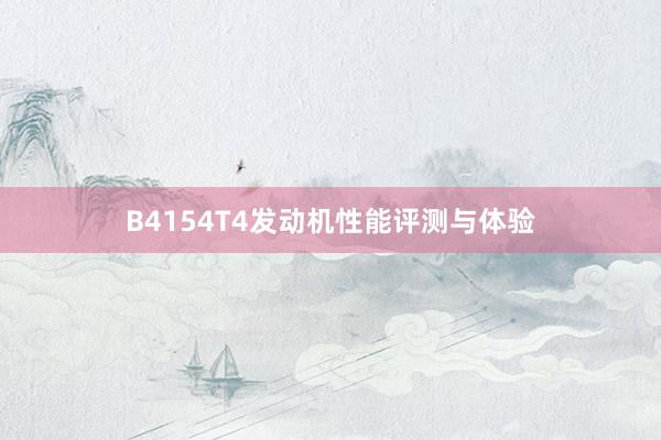 B4154T4发动机性能评测与体验